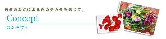 自然のなかにある色のチカラを信じて。