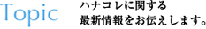 ハナコレに関する最新情報をお伝えします